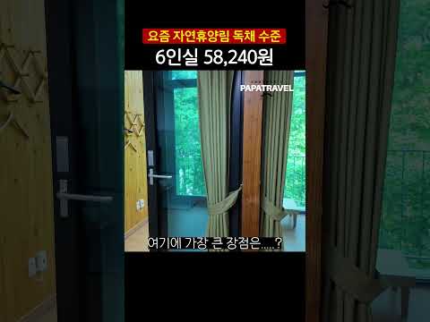 6인실 봉황산객실의 매력과 실용성
