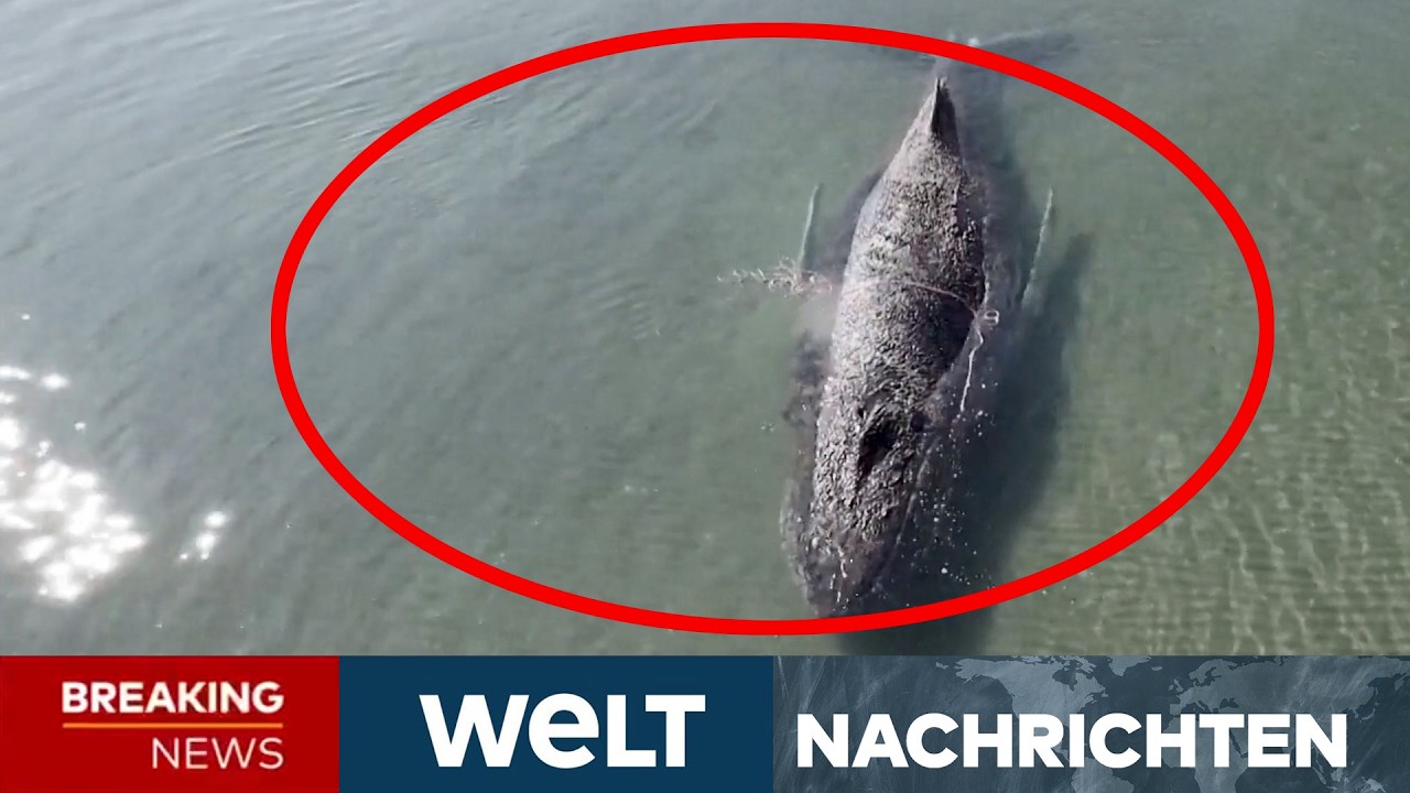 IRAN-KRIEG: "Endgültiger Schlag!" Jetzt wappnet sich Trump für die nächste Eskalationsstufe! I LIVE