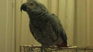 Miniature vidéo