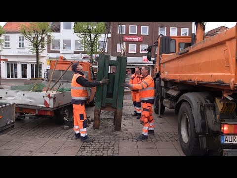 Auricher Maibaum die Siebte