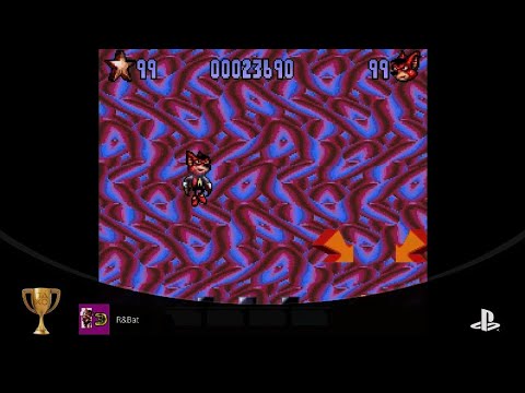 Aero The Acro-Bat 2 | R&Bat