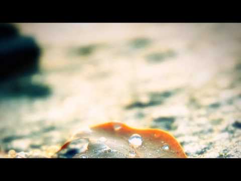 Eddie - 晚秋 (Late Autumn)