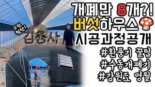 개폐기만 8개! 노하우 듬뿍 들어간 버섯재배 하우스 시공_김중사부대#비닐하우스 #버섯재배 #그린첨단과학온실