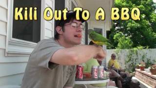 Kili Senegal Parrot - Barbecue Outing To Socialize the Bird