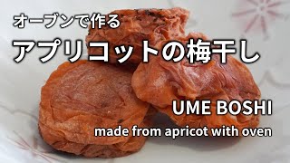 【オーブンで作るアプリコットの梅干し】本格的な梅干しの見た目と味です。青梅が手に入らない外国でおすすめの作り方です。 Dried Apricot (UMEBOSHI) making with oven