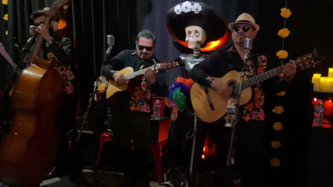 Promotional video thumbnail 7 for Los Mariachis de America & Trios