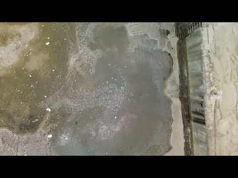 Port of Ness -  Isle of Lewis - Outer Hebrides 24/4/24