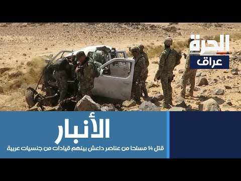 شاهد بالفيديو.. القوات الامنية المشتركة في الأنبار تقتل ١٤ مسلحا من عناصر داعش بينهم قيادات من جنسيات عربية