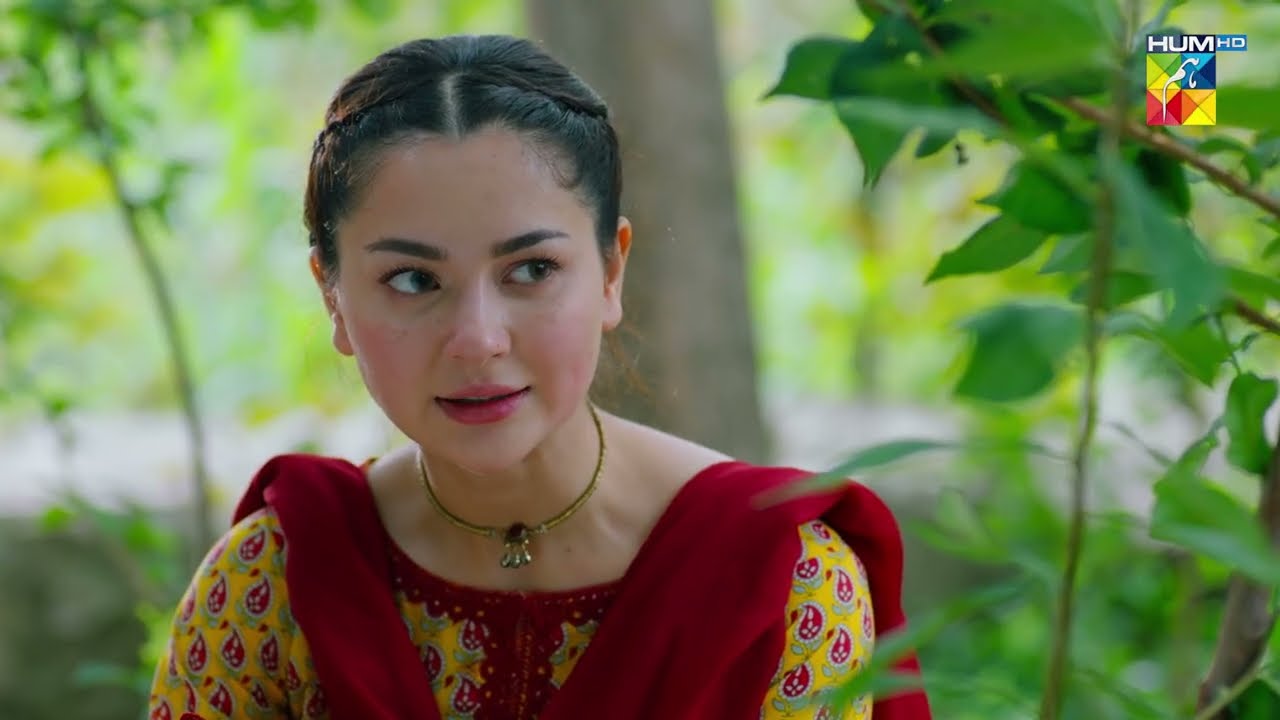 Izzat Se Shadi Karo Gi Warna Nahi Karo Gi... Sang-e-Mah - HUM TV