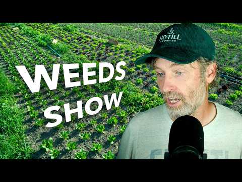 Weed Wisdom: No-Till Strategies for Next Year's Garden