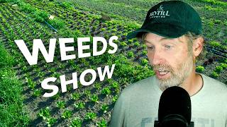 What Do Weeds Know + Managing Weeds for Next Year