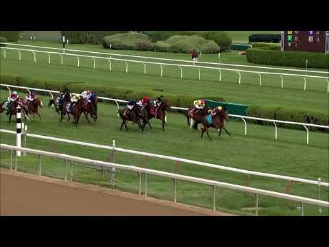 State Of Rest   Grade 1 Saratoga Derby