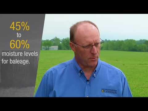 Makin’ Hay Minute: Benefits to Making Baleage