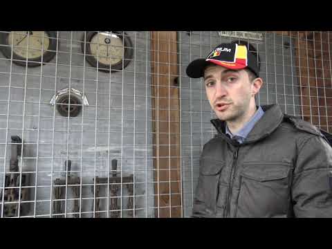 De Dodendraad (Oorlog en vrede in Zondereigen)