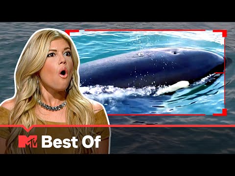 Ridiculousnessly Close Calls 🤏 SUPER COMPILATION