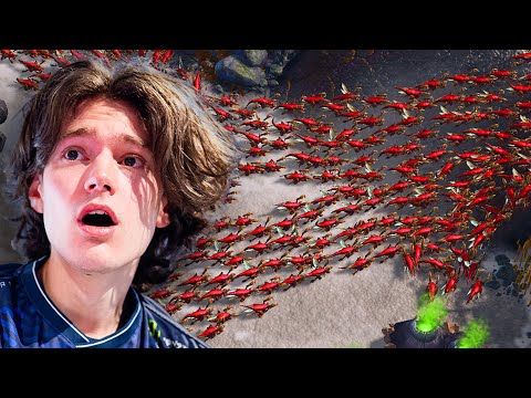 Clem just switched from Terran to ZERG! StarCraft 2 Finals