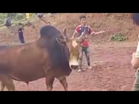 Khub nyuj ej 10/08/2023