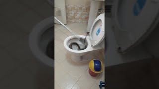 UN SERPENT DANS LES TOILETTES...
