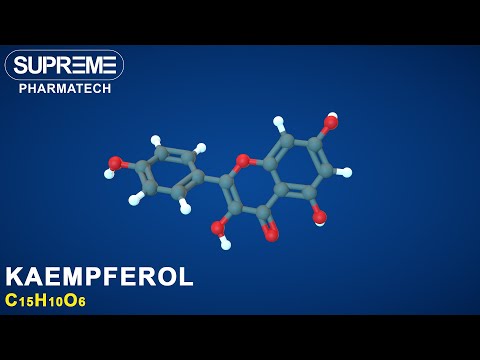 Kaempferol Powder Supplier