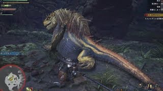 【MHW３】ｹｽﾄﾄﾞﾝ・ﾄﾞｽｼﾞｬｸﾞﾗｽ討伐！【天髪らんち実況】