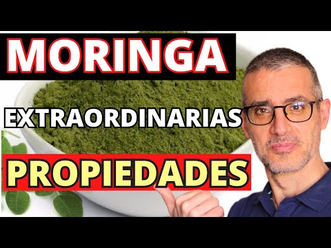 Los EXTRAORDINARIOS BENEFICIOS de la MORINGA. Para qué sirve la MORINGA y cómo se toma.