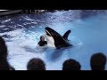 The TERRIFYING Last Minutes Of Orca Trainer Britney White