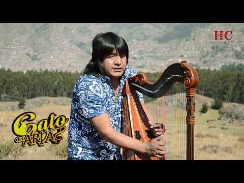 Gato Del Arpa - Solo Por Quererte / Videoclip Oficial 2020 (Huayno Perú)