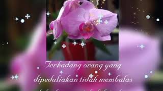 Download lagu Status wa - jadilah penyabar semesta punya cara membuatmu bahagia mp3 Download lagu Status wa - jadilah penyabar semesta punya cara membuatmu bahagia mp3