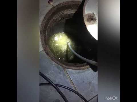 תמונה של מאסטר פיקס אינסטלציה