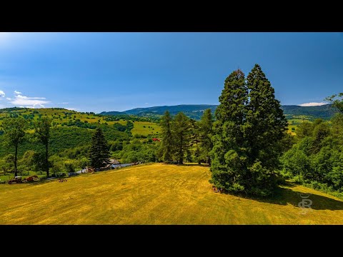 Te invit să-ți cunoști țara. Episodul 2 - Gigantul din Apuseni/Arborele de Sequoia