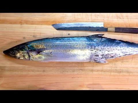 アロサ・シュードハレンガスについて詳しく解説