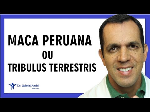 Maca or Tribulus – Which is Better? Can You Take Them Together? Dr. Gabriel Azzini