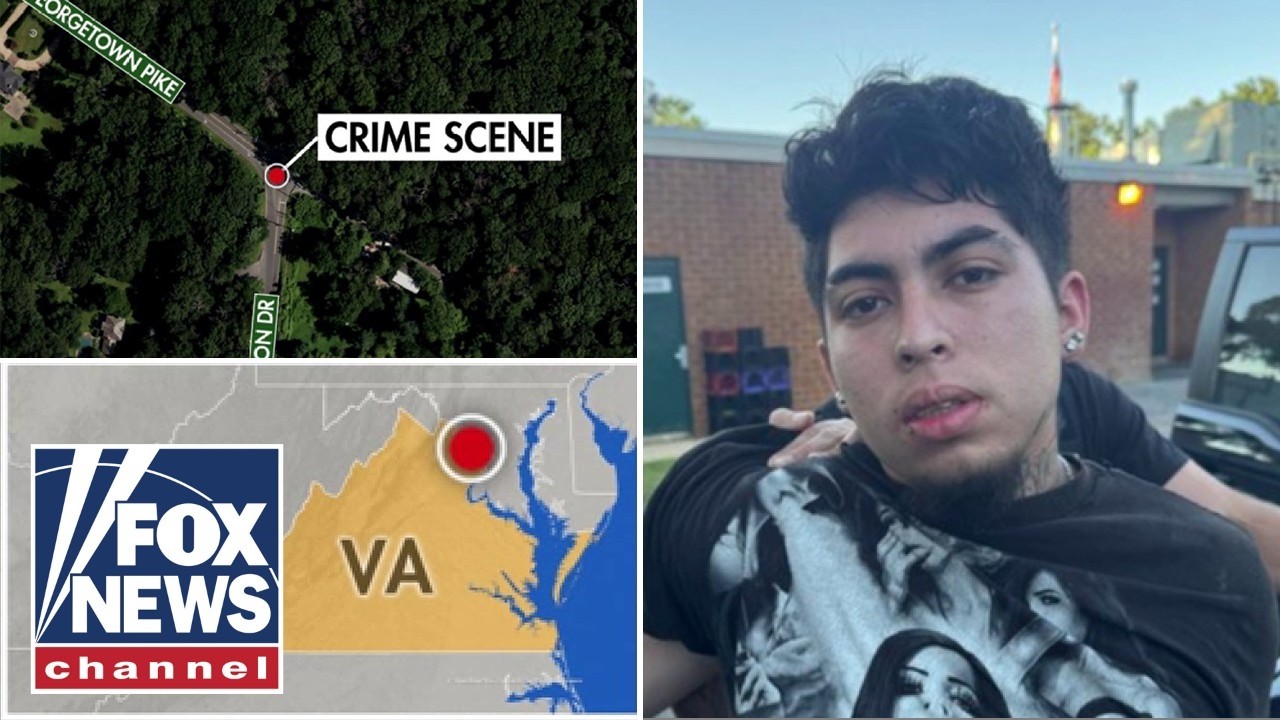 Police ARREST illegal migrant in stabbing death of Virginia mother