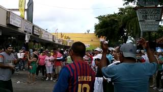 CALLE OCHO 2012  EL  COLADITO