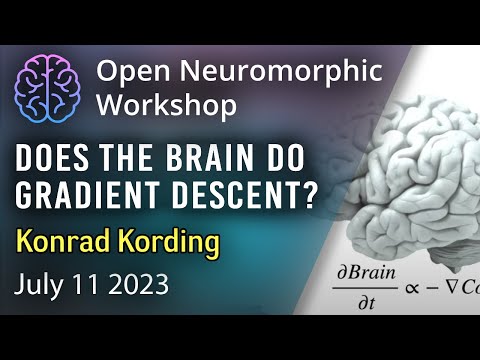 Does the Brain do Gradient Descent? Konrad Kording