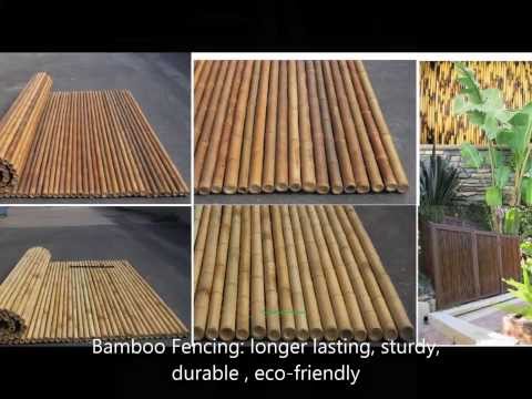 Buy bamboo,cane,poles,stalks, thatch,fencing,mats,4sale-cheap bamboo,fence/poles/panelson sale