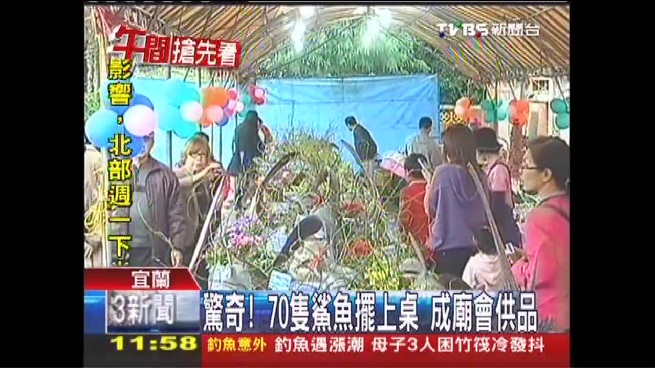 驚奇!70隻鯊魚擺上桌 成廟會供品