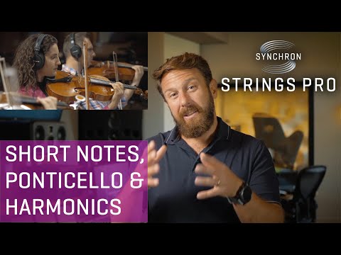 Synchron Strings Pro Walkthrough Part 4: Short Notes, Ponticello & Harmonics