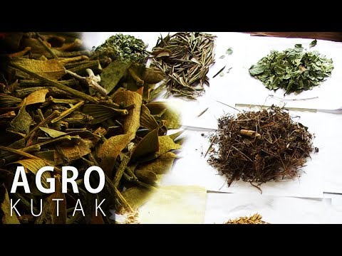 Agro kutak - Ljekovito bilje - Priroda u službi zdravlja 2 - 03.10.2017.