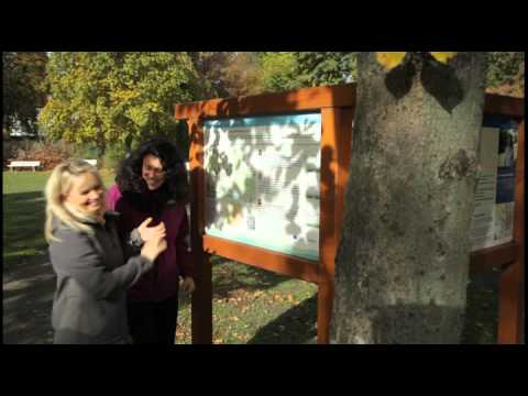 Gesundheitsurlaub Teutoburger Wald - VitalWanderWelt einzigartige Auszeit
