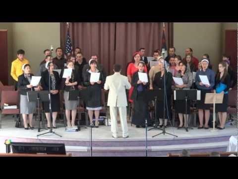 Ca o pasăre în zbor