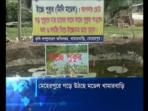 মেহেরপুরে গড়ে উঠছে মডেল খামারবাড়ি