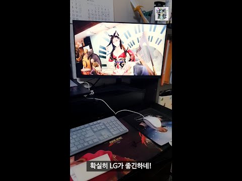 LG Ultragear 24GN600 Monitor [갑분리뷰] 경품으로 받은 LG 울트라기어 24GN600 모니터 (세로화면)