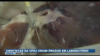 Miniatura do vídeo