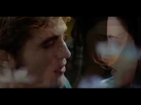 Moc ljubavi - Slobodan VukSokolović