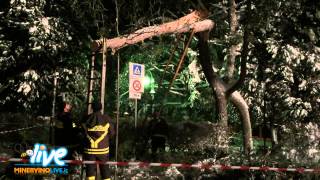 preview picture of video 'I vigilli del fuoco tagliano albero caduto in Villa Faro - Minervino Murge'