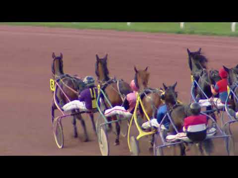 Avenches/25.09.2017/Prix Glamour Fighter