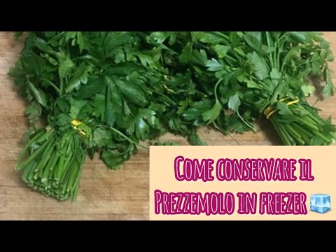 Come conservare il #prezzemolo in freezer❄️ metodo semplice/ كيفي تخزين البقدونس في الفريزر