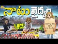 నాటు వైద్యం Natu Natu Doctor Chicken MCA Middle Class Abbayi Funmoji Infinitum M