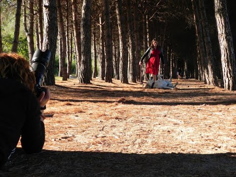 Un anno di LA VALE DOG PHOTOGRAPHY